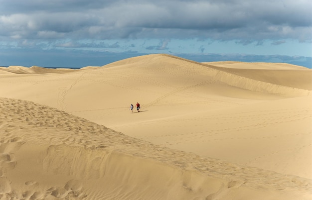 Blick auf die dünen in maspalomas kanarische inseln spanien mit gelbem und goldenem sand