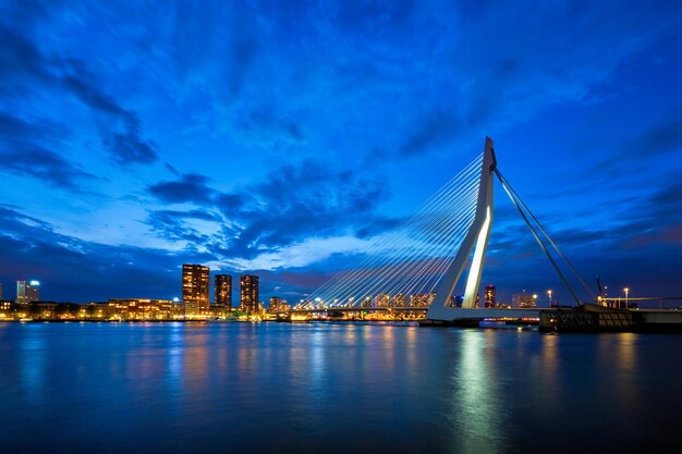 Blick auf die Erasmusbrücke Erasmusbrug und die Skyline von Rotterdam Rotterdam Niederlande