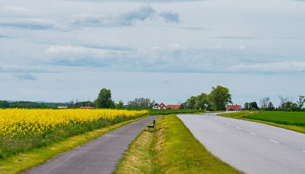 Blick auf die Fahrbahn zum Dorf in Schlesien, Polen