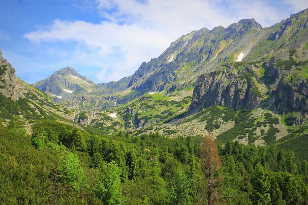 Blick auf die Felsberge in den Hohen Tatra in der Slowakei