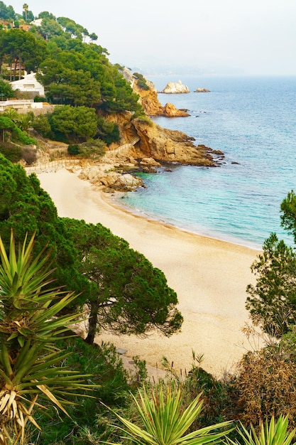 Blick auf die Felsen an der Küste von Lloret de Mar inmitten der wunderschönen, zerklüfteten Costa Brava nördlich von Barcelona, Katalonien, Spanien