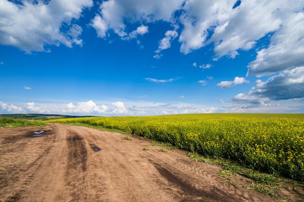 Blick auf die Frühlingslandschaft mit schmutziger Straße Raps gelb blühende Felder Dorfhügel Ukraine Lemberg Region