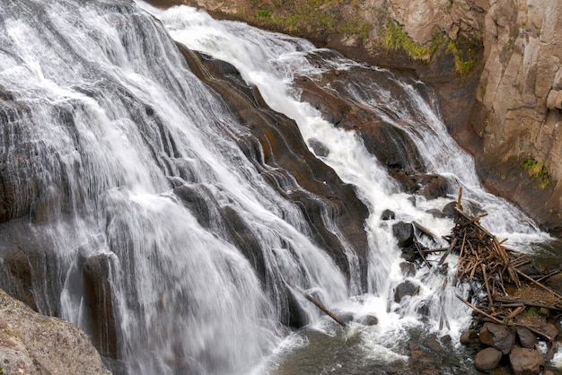 Blick auf die Gibbon Falls im Yellowstone