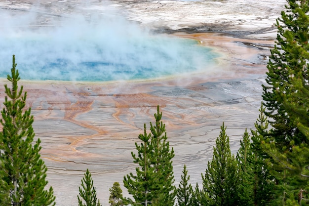 Blick auf die Grand Prismatic Spring im Yellowstone