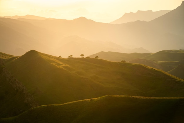 Blick auf die grünen Berge bei Sonnenuntergang Schöner Sommernaturhintergrund