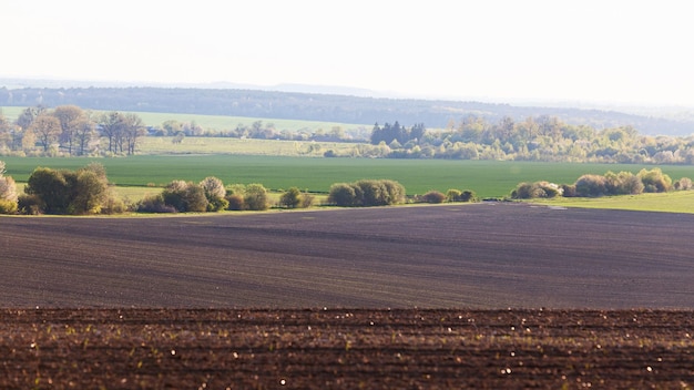 Blick auf die grünen Felder des Vorfrühlings