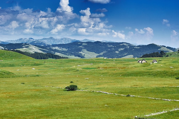 Blick auf die Haarnadelstraße zum Risan Montenegro