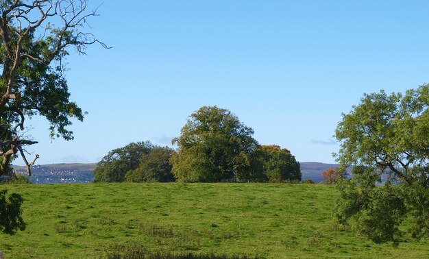 Blick auf die Hügel von Cardross