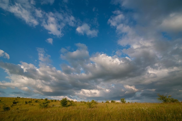 Blick auf die Hügellandschaft mit Wacholderbäumen unter blauem Himmel auf Sommerlandschaft