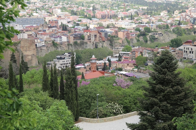 Blick auf die Juma-Moschee vom Botanischen Garten von Tiflis