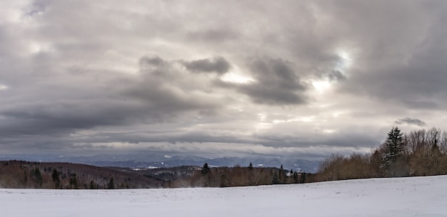 Foto blick auf die karpaten im winter