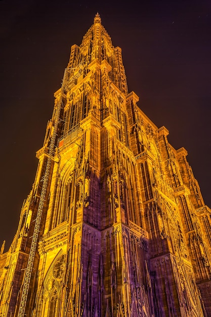 Blick auf die Kathedrale von Straßburg vom Boden aus Elsass Frankreich