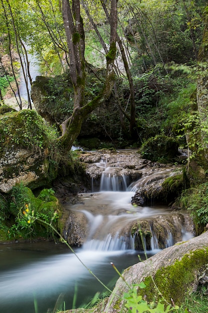 Blick auf die kleine Wasserkaskade im Wald