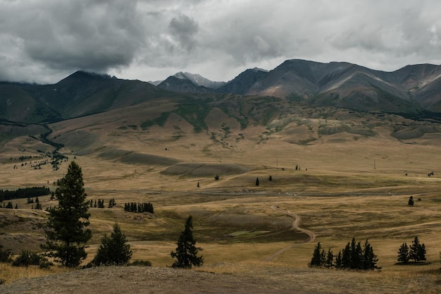 Blick auf die Kurai-Steppe im Altai-Gebirge