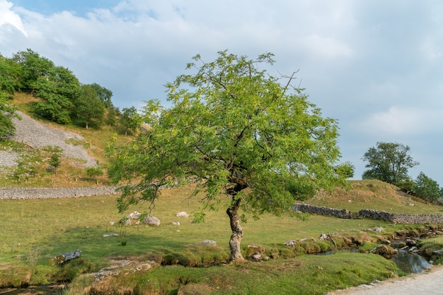 Blick auf die Landschaft rund um Malham Cove im Yorkshire Dales National Park