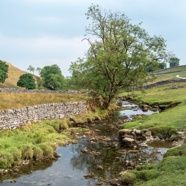 Blick auf die Landschaft rund um Malham Cove im Yorkshire Dales National Park