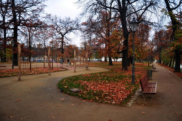 Foto blick auf die landschaft und die holzbank im öffentlichen gartenpark im herbst herbstsaison für tschechen ausländische reisende reisen besuchen und entspannen sich morgens in der stadt praha in prag in der tschechischen republik