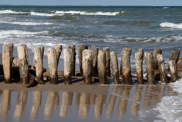 Blick auf die Ostsee und die hölzernen Wellenbrecher am Strand der Kurischen Nehrung an einem sonnigen Sommertag Gebiet Kaliningrad Russland