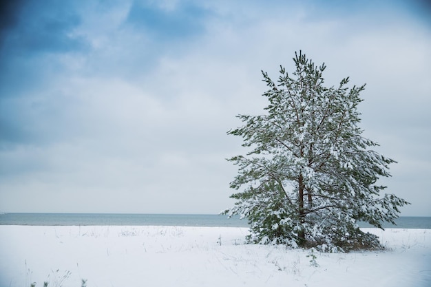 Blick auf die Ostsee