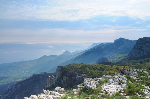 Blick auf die riesigen felsigen Klippen und das grüne Tal mit Wald bedeckt