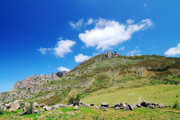 Blick auf die riesigen Felsklippen und das grüne Tal, das mit Wald bedeckt ist