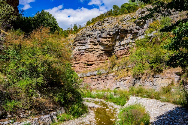 Blick auf die Schlucht des Flusses Boljetin in Ostserbien