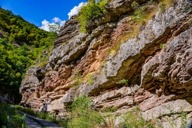 Blick auf die Schlucht des Flusses Boljetin in Ostserbien