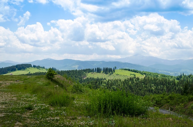 Blick auf die schönen Karpaten im Sommer