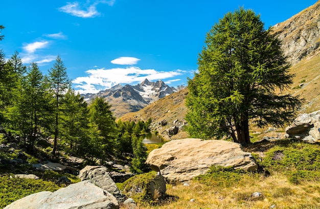 Blick auf die Schweizer Alpen bei Zermatt