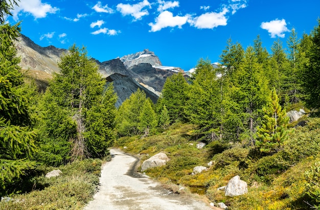 Blick auf die Schweizer Alpen bei Zermatt