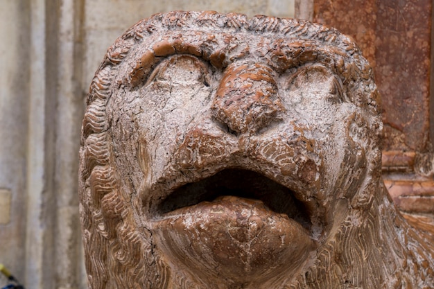 Blick auf die Skulptur des Löwen mit Gebet vor dem Duomo in Modena, Italien