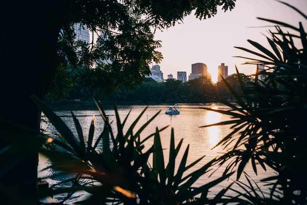 Foto blick auf die stadt bei sonnenuntergang