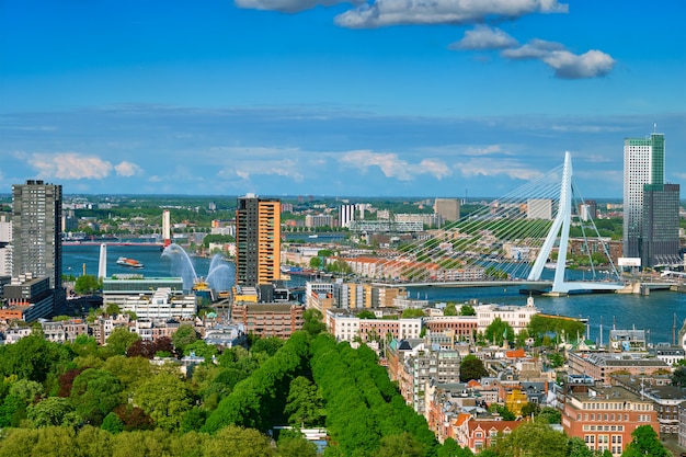 Blick auf die Stadt Rotterdam und die Erasmus-Brücke