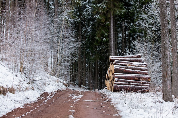 Blick auf die Straße durch den verschneiten Wald