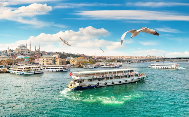 Blick auf die Süleymaniye-Moschee