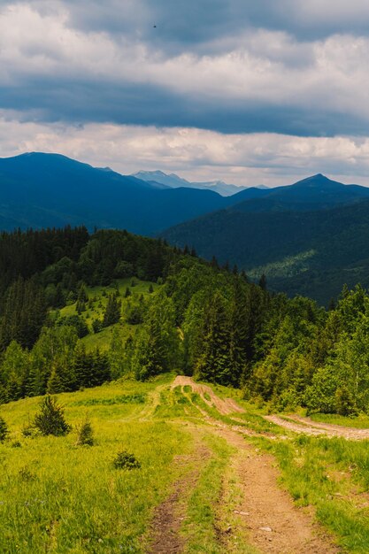 Blick auf die ukrainischen Karpaten. Foto der Natur und der Sommerberge