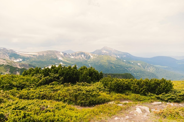 Blick auf die ukrainischen Karpaten. Foto der Natur und der Sommerberge