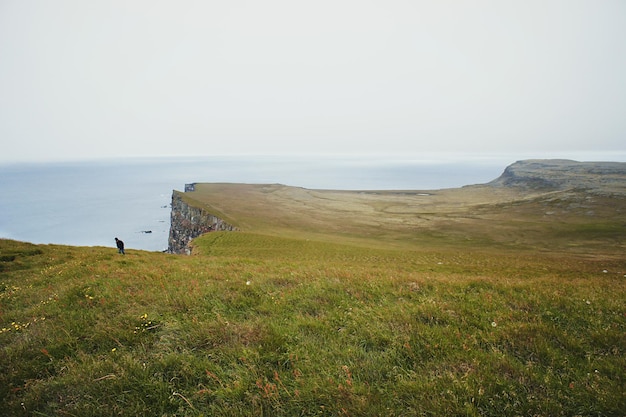 Blick auf die Vogelfelsen von Island grünes Gras Nordatlantik und Frau Tourist zu Fuß Latrabjarg