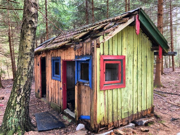 Foto blick auf ein altes haus im wald