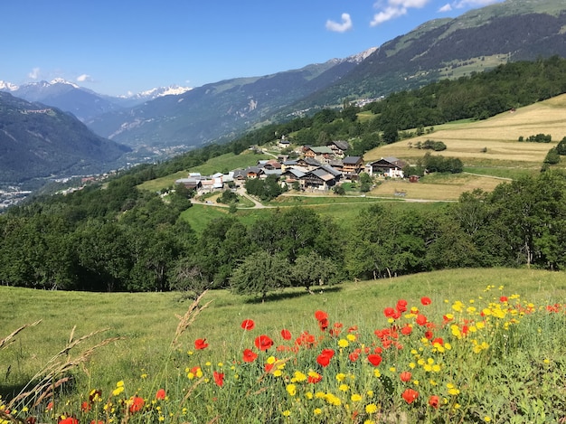 Blick auf ein europäisches Dorf in alpiner Berglandschaft mit blühenden Mohnblumen auf der Wiese