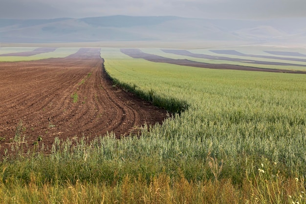 Blick auf ein gepflügtes Feld, das für den Anbau von Feldfrüchten vorbereitet ist Gepflügtes Land mit Reihen von Furchen