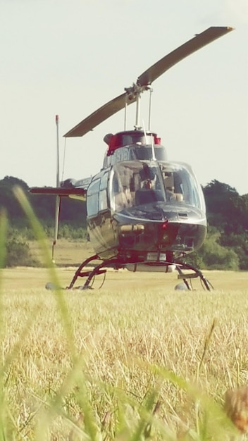 Foto blick auf ein grasfeld vor dem himmel