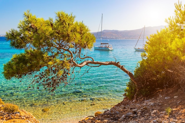 Blick auf ein smaragdgrünes und transparentes Mittelmeer mit Yachten Luxusurlaub am Meer