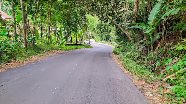 Blick auf eine Asphaltstraße mit Bäumen in Indonesien