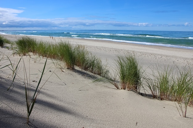 Foto blick auf eine sanddüne mit einem grasstreifen auf das meer und den himmel