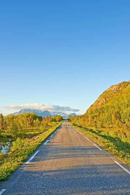 Blick auf eine Straße und grüne Vegetation, die im Sommer zu einer idyllischen abgelegenen Gegend führen Große grüne Bäume, die eine leere Straße auf dem Land umgeben Landschaft aus Grün allein ein Betonweg