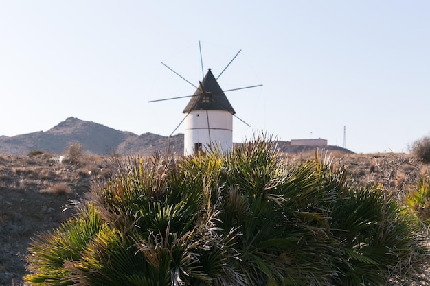 Blick auf eine typische Windmühle Cabo de Gata Almeria Spanien