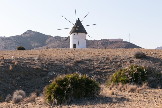 Blick auf eine typische Windmühle Cabo de Gata mit Dorfhintergrund Almeria Spanien