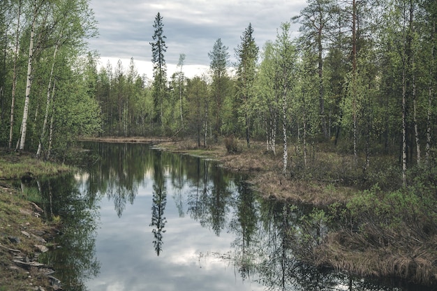 Blick auf einen kleinen Waldsee