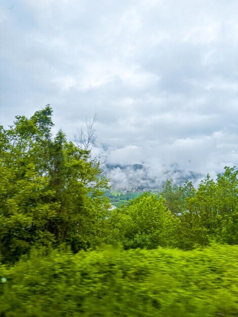 Blick auf einen Sommertag in den Bergen grüne Wiesen Berghänge und Hügel